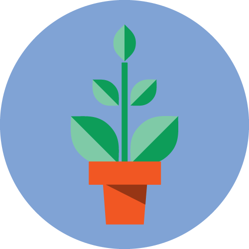 Dont' trust the hand that holds the plant